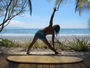 Costa RIca Yoga Retreat Sellwood Yoga and the Bhaktishop